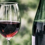 primitivo wine grape
